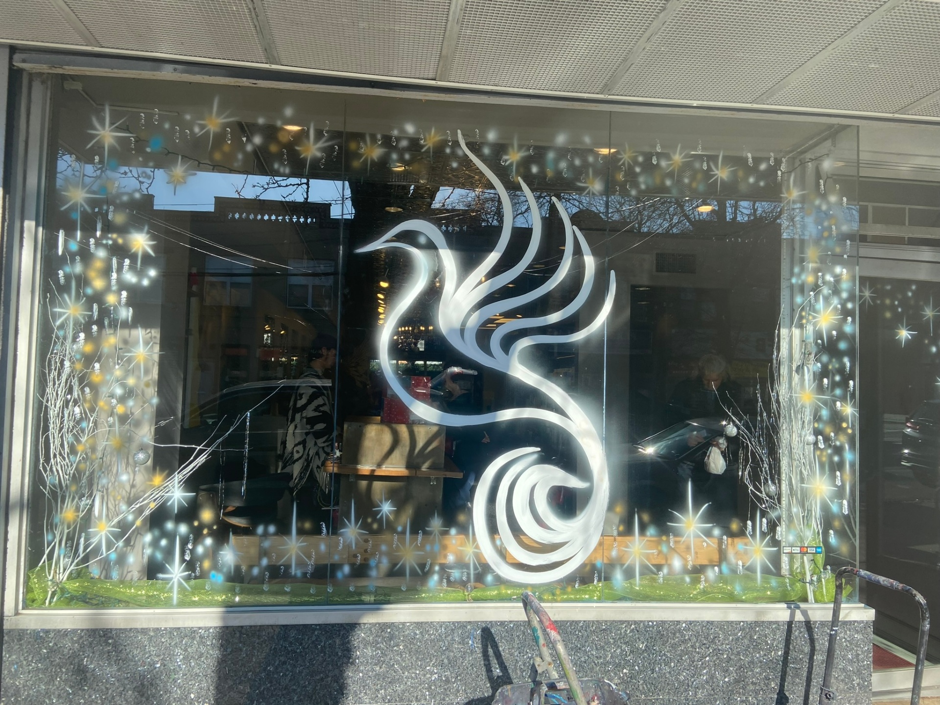 Salon Phoenix — Dove & Stars