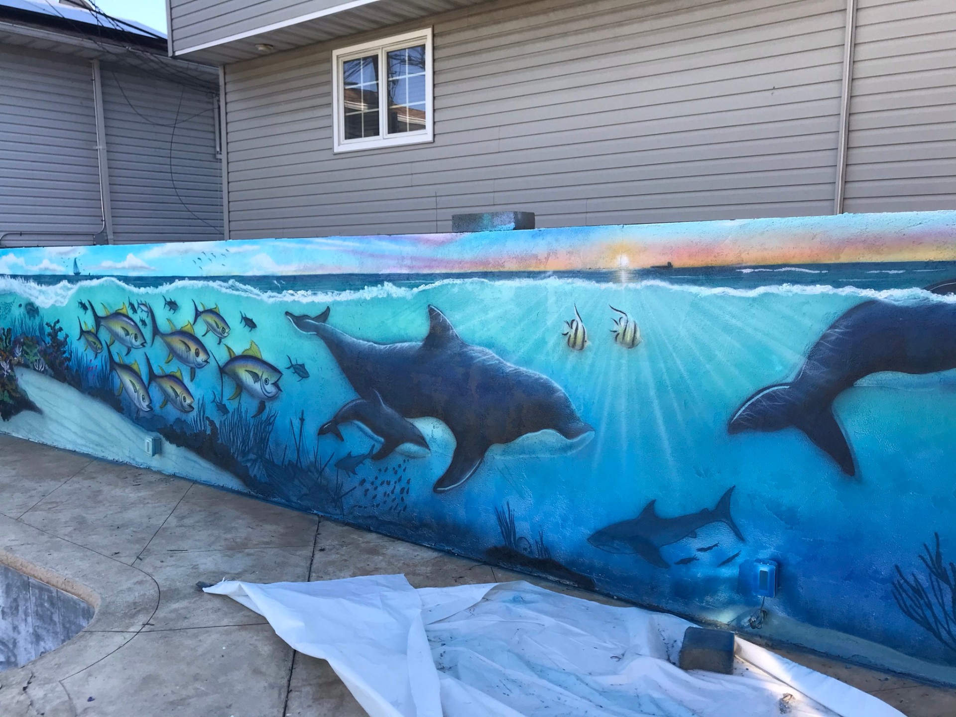 Underwater World — Dolphins & Sharks